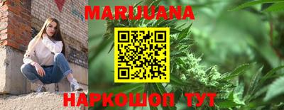 тгк Кингисепп