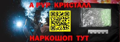 тгк Кингисепп
