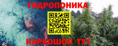 apvp Кинель