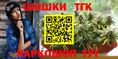 тгк Кингисепп