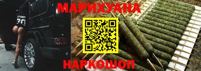 тгк Кингисепп