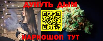 тгк Кингисепп