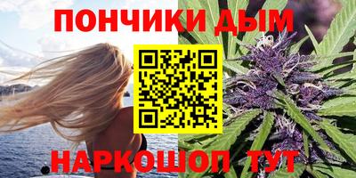 тгк Кингисепп
