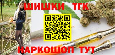 тгк Кингисепп