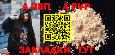 тгк Кингисепп