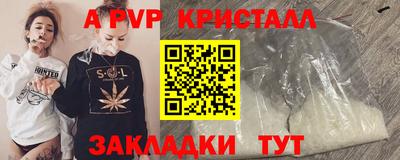 тгк Кингисепп