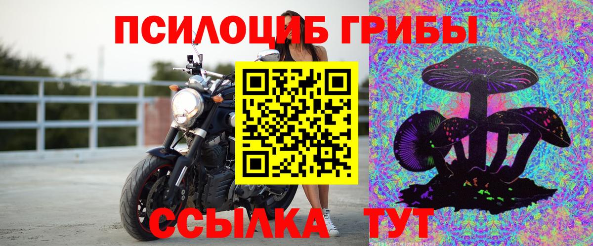 Кострома  Псилоцибиновые грибы ЛСД  Вход с VPN 