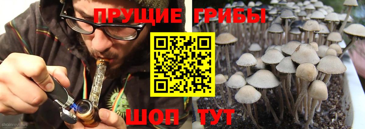Псилоцибиновые грибы прущие грибы Кострома